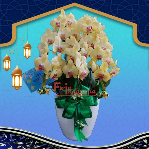 Bunga Anggrek Lebaran AGRL-004 Bunga Anggrek Lebaran AGRL-004